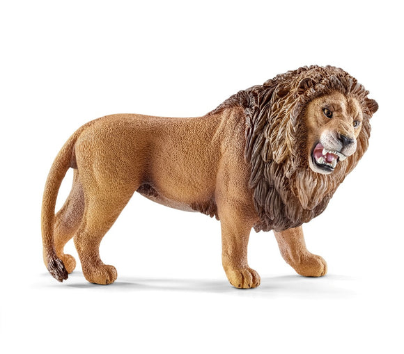 Lion, roaring