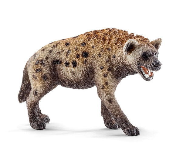 Hyena