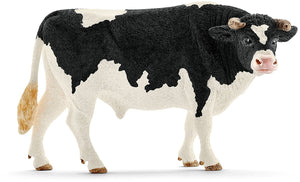 Holstein bull