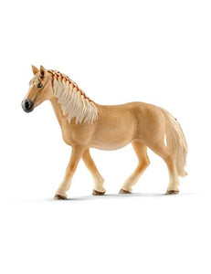 Haflinger mare