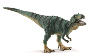 Juvenile Tyrannosaurus Rex