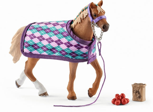 English Thoroughbred with blanket