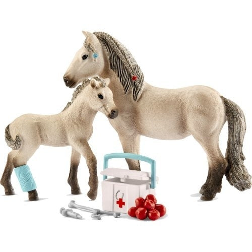 Hannah’s first-aid kit for Icelandic horses