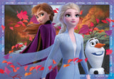 Disney Frozen Frosty Adventures