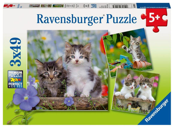 Ravensburger Cuddly Kittens - 3 x 49 pc Puzzles