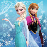 Disney Frozen Winter Adventures