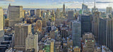 View Over New York Panorama