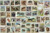Animal Stamps