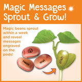 Creativity For Kids - Magic Bean Garden Craft Kit
